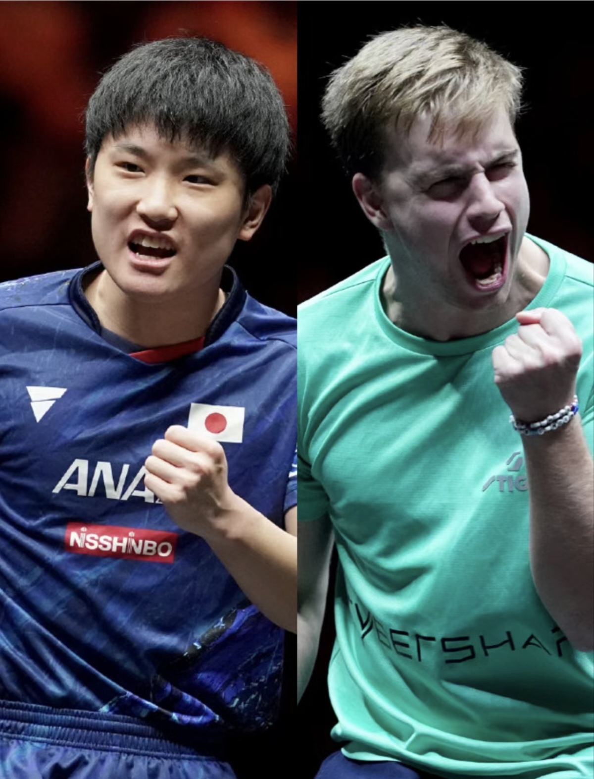 韩国队完胜波兰队,张本智和扛起全队 韩国队完胜波兰队,张本智和扛起全队