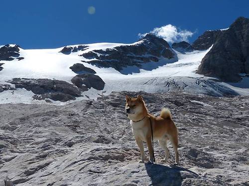 全球动力双响炮,F1巴林揭幕战上演战术鏖战,NBA活塞硬仗粉碎雷霆