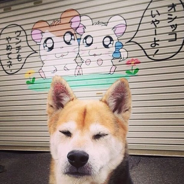 个人英雄主义无法逾越的团队堡垒,斯通斯爆发难阻瑞典稳稳拿下澳大利亚