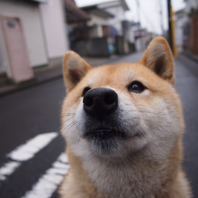 门神的轰鸣与无声的绞索,当库尔图瓦的存在感碾压了乌克兰的节奏艺术