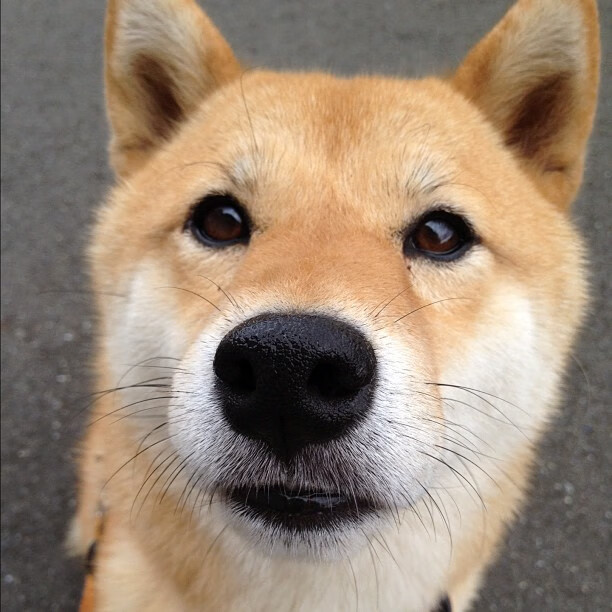 开云sport-双线统治，从NBA碾压到奥运接管，利拉德的关键战基因